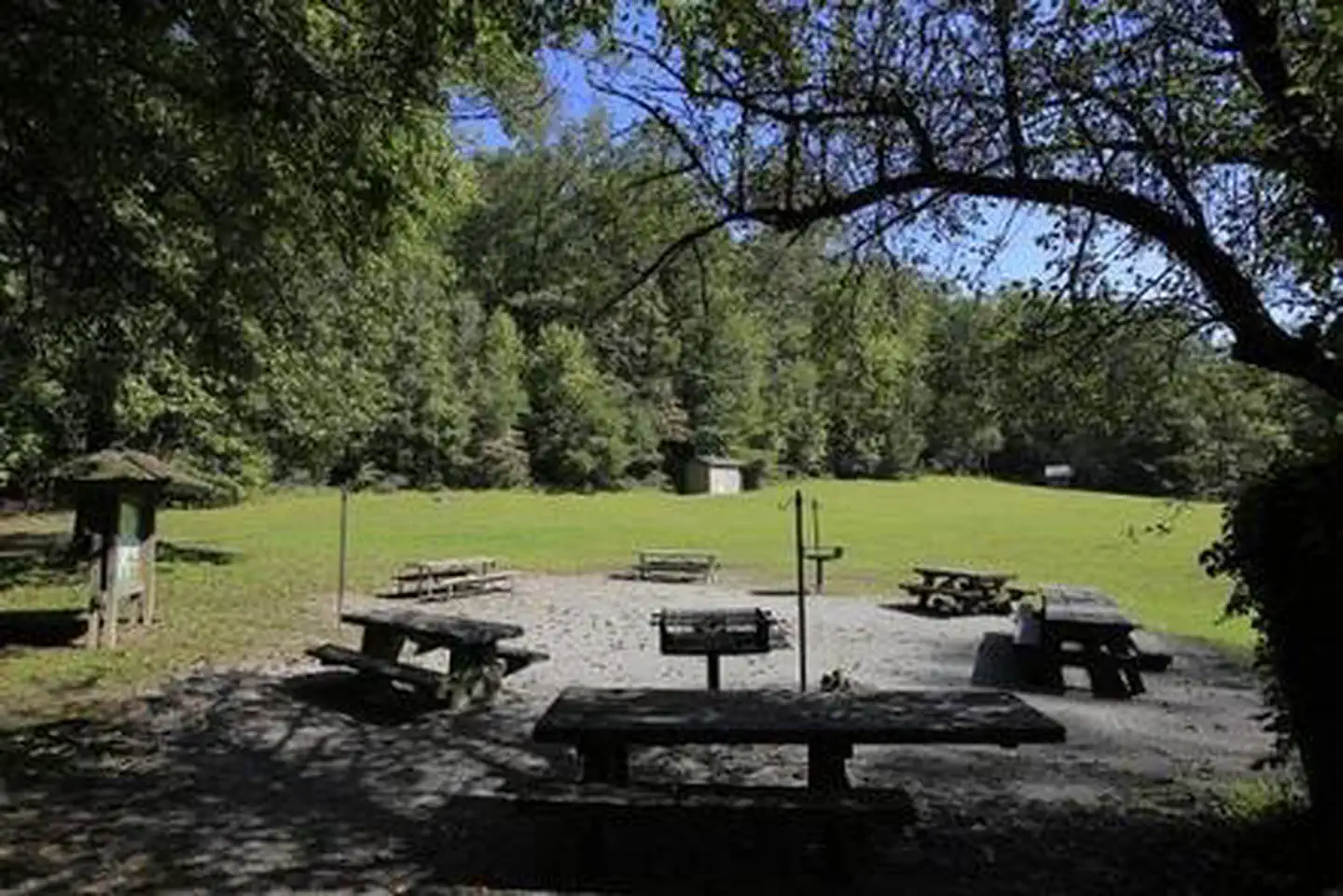 COVE CREEK LOWER GROUP CAMP — Lower Cove Creek Picnic Area
