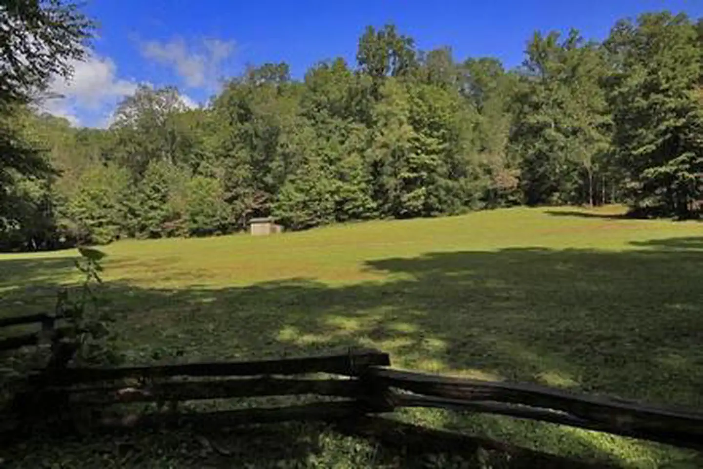COVE CREEK LOWER GROUP CAMP — Field at Cove Creek Lower
