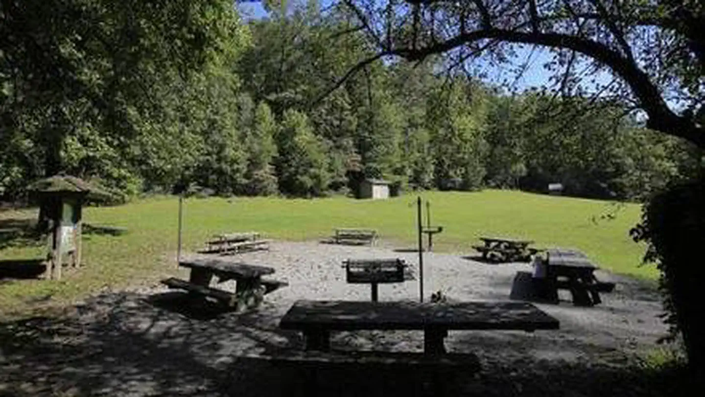 Pisgah National Forest Cove Creek Group Campground