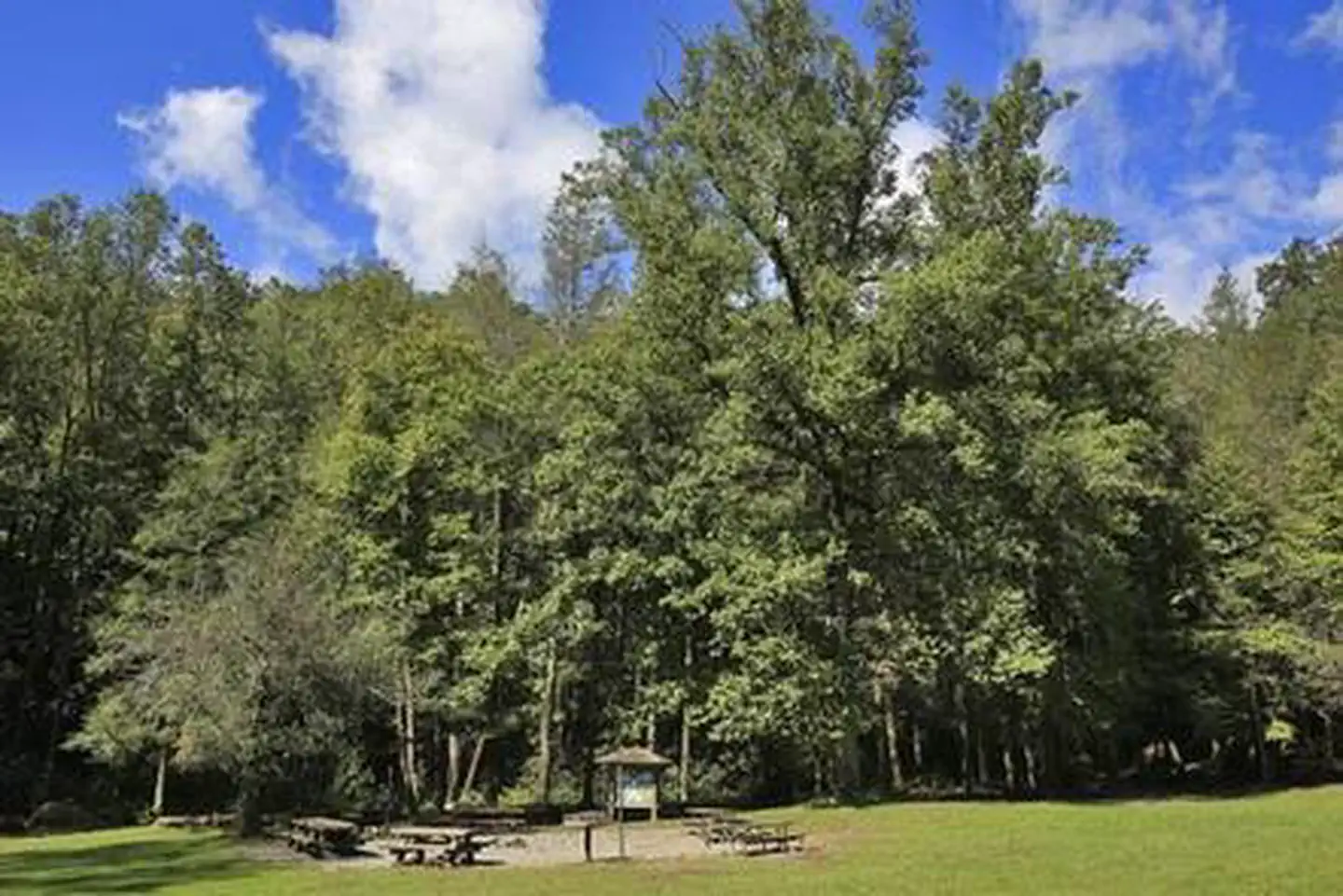 COVE CREEK LOWER GROUP CAMP — Lower Cove Creek
