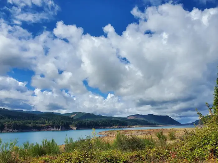 Ivan Oakes Campground — View of Lookout Point Lake from Ivan Oakes Campground