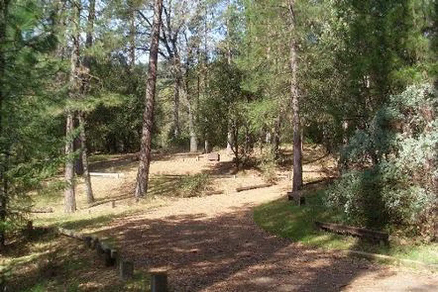 MOORE CREEK — MOORE CREEK
