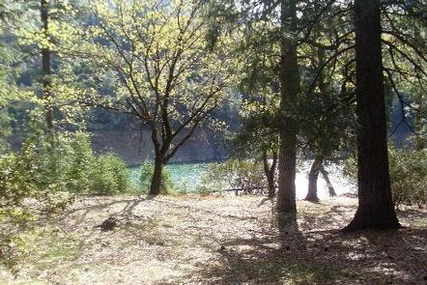 MOORE CREEK — MOORE CREEK