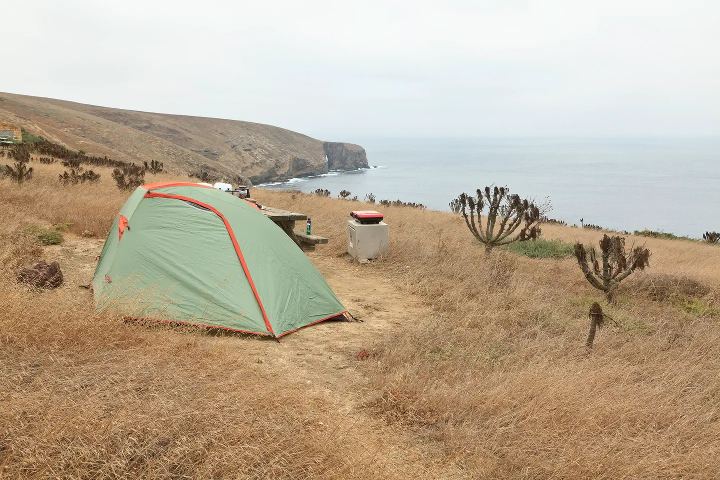 Santa Barbara Island — Tent sitting in dried grass on a ocean bluff overlooking the coastline.