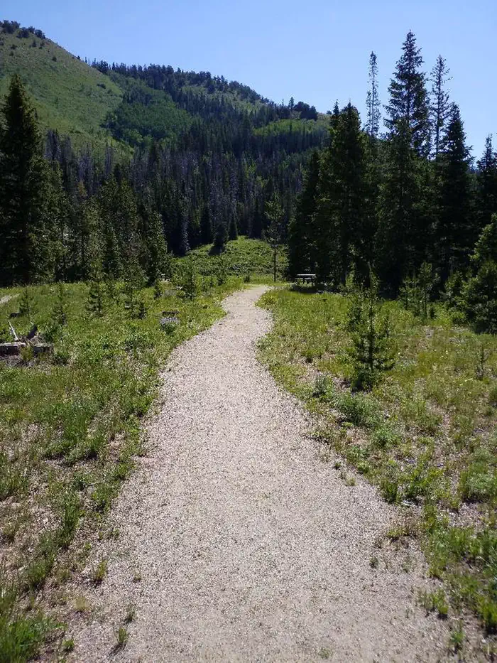 Hahns Peak Lake Campground - Medicine-Bow Routt NF (CO) — Hahns Peak Lake, Shoreline Trail