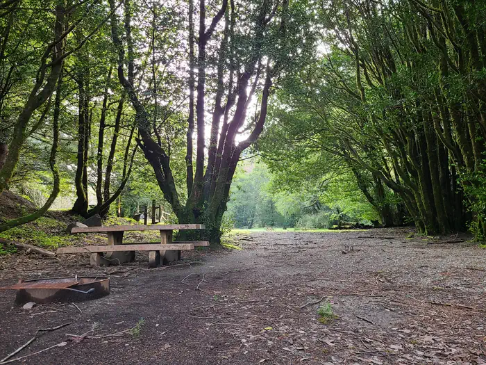 Edson Creek Campground (OR) — EDSON CREEK individual camp 1