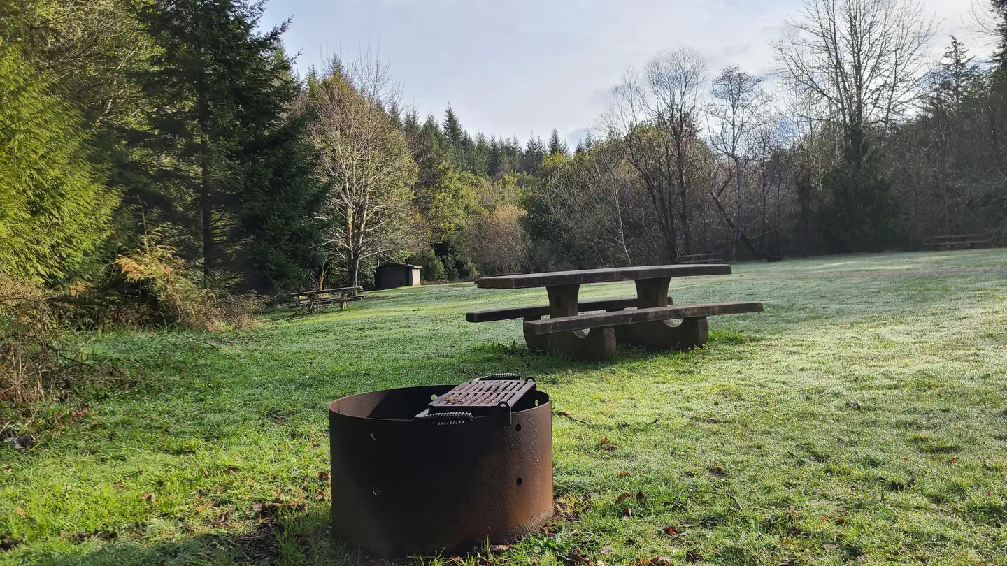 Edson Creek Camping
