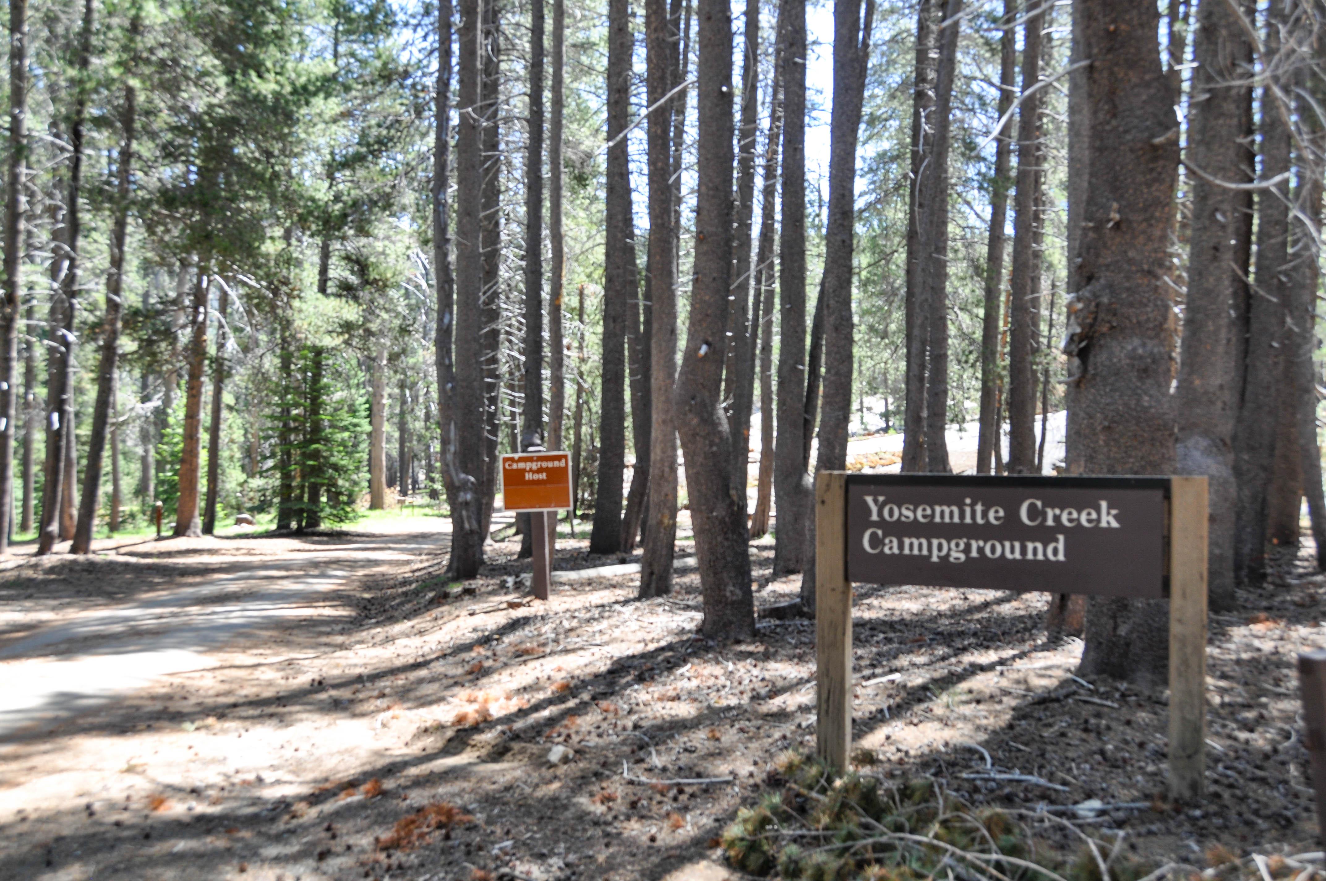 Yosemite Creek Campground — Yosemite Creek Campground