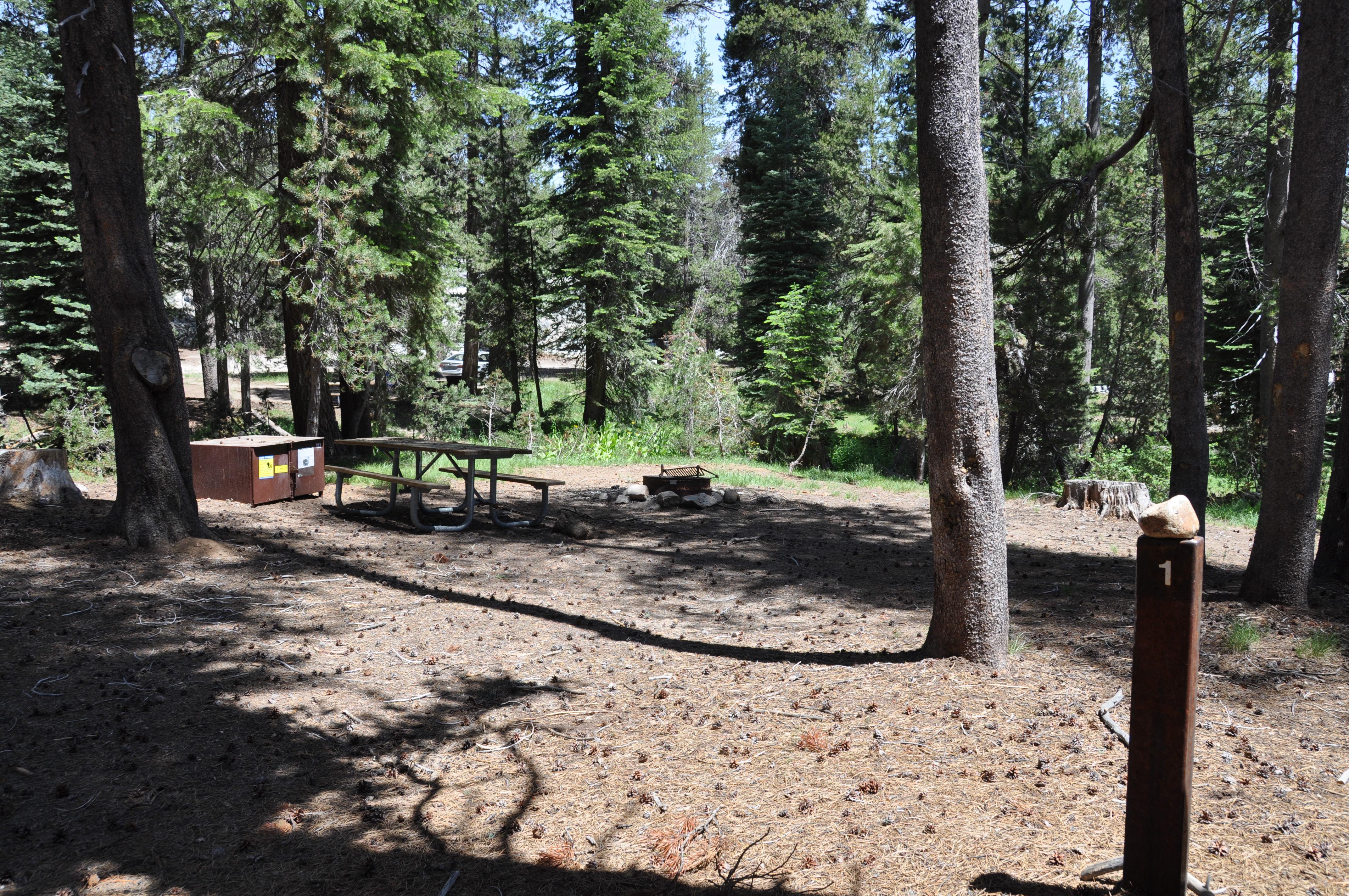 Yosemite Creek - Yosemite National Park