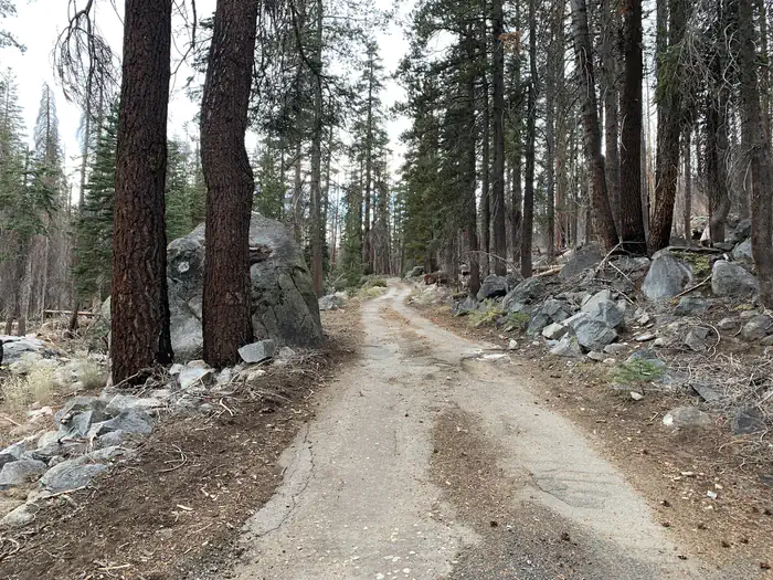 Yosemite Creek Campground — A picture of part of the road to Yosemite Creek Campground