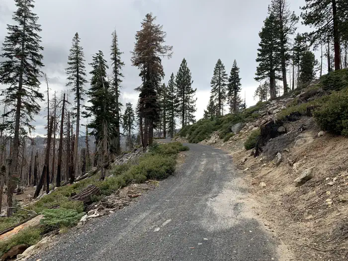 Yosemite Creek Campground — A photo of part of the road to Yosemite Creek Campground.