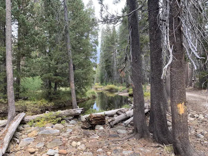 Yosemite Creek Campground — A photo of the creek Yosemite Creek Campground