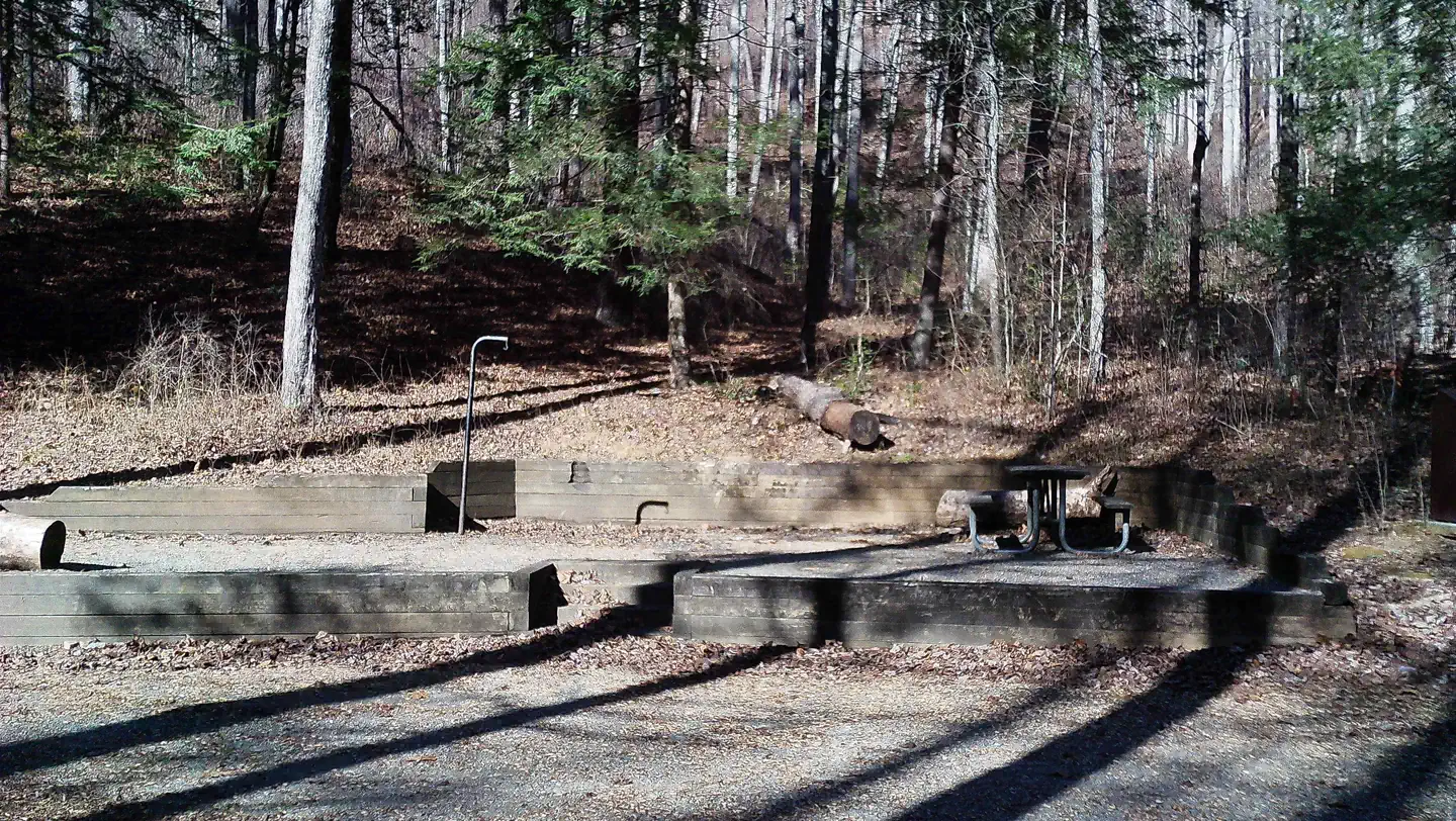 Low Gap Campground — Campsite #12