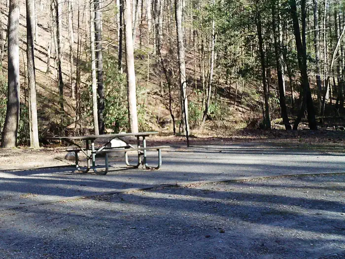 Low Gap Campground — Typical Campsite