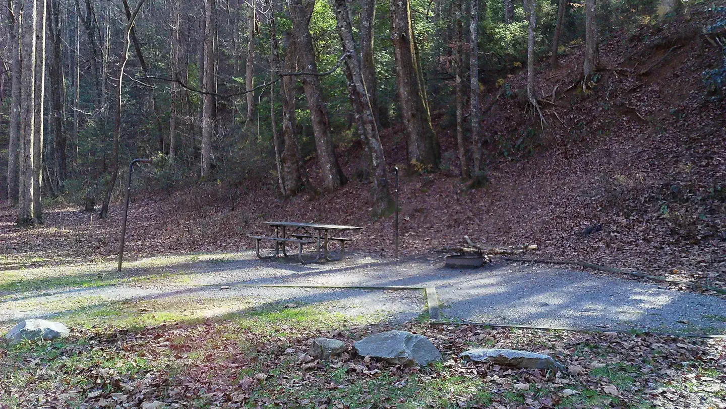 Low Gap Campground — Campsite #7