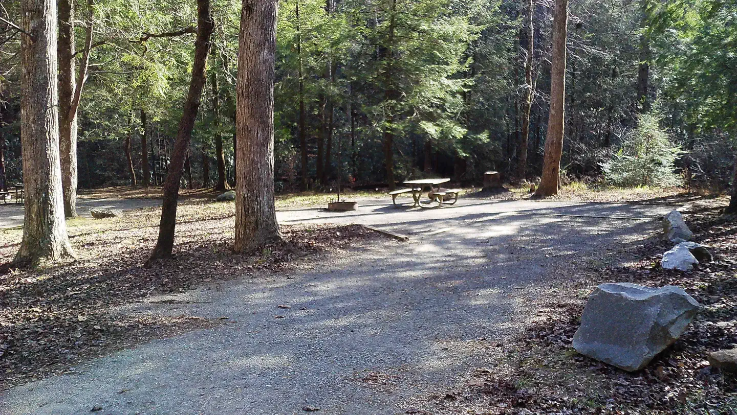 Low Gap Campground — Campsite #10