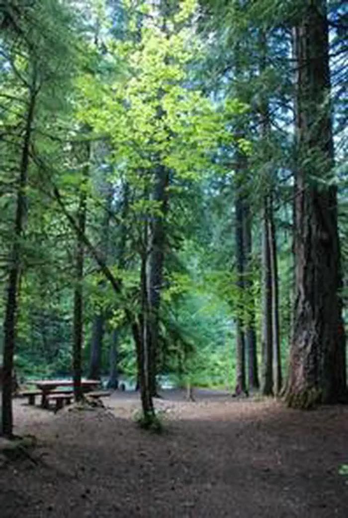 RIVERSIDE AT DETROIT (Willamette National Forest, OR) — RIVERSIDE AT DETROIT