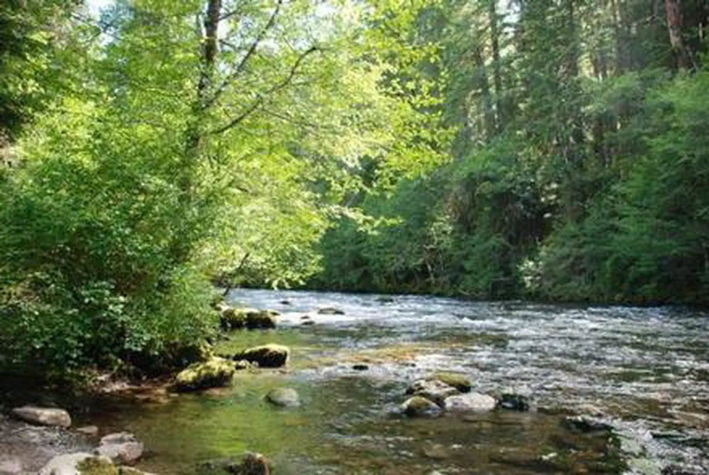 Riverside at Detroit Campground
