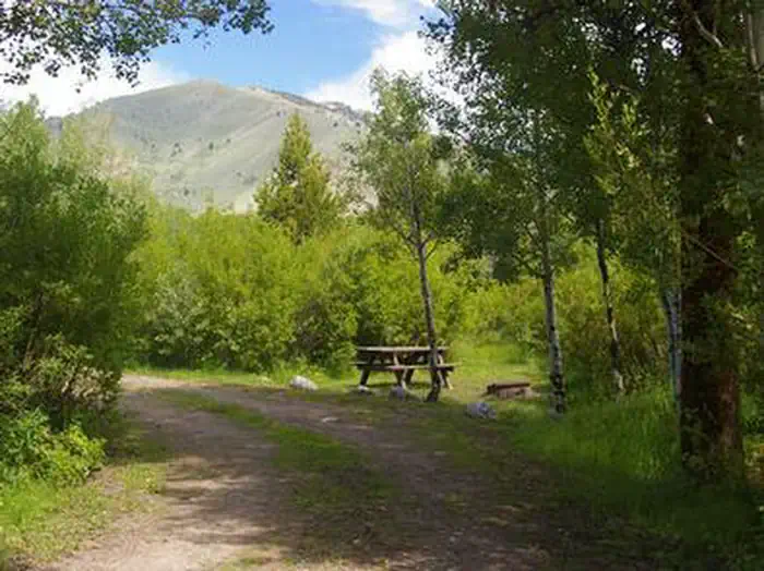 NORTH FORK (ID) — NORTH FORK (ID)