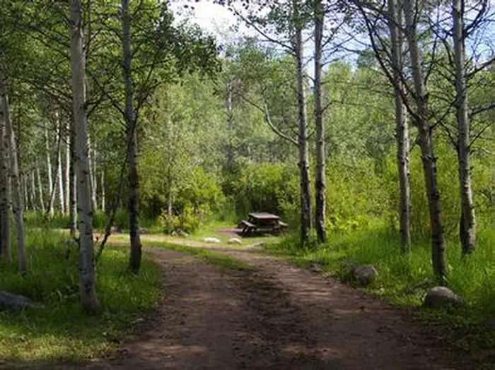 NORTH FORK (ID) — NORTH FORK (ID)