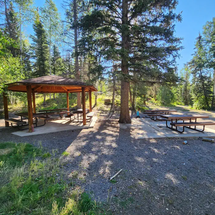TASHA EQUESTRIAN — Tasha Group site pavilion.