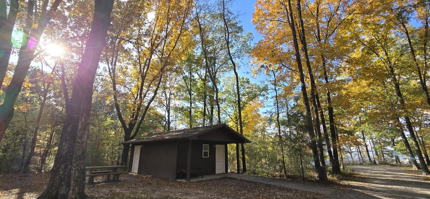 Dale Miller Youth β Cabin