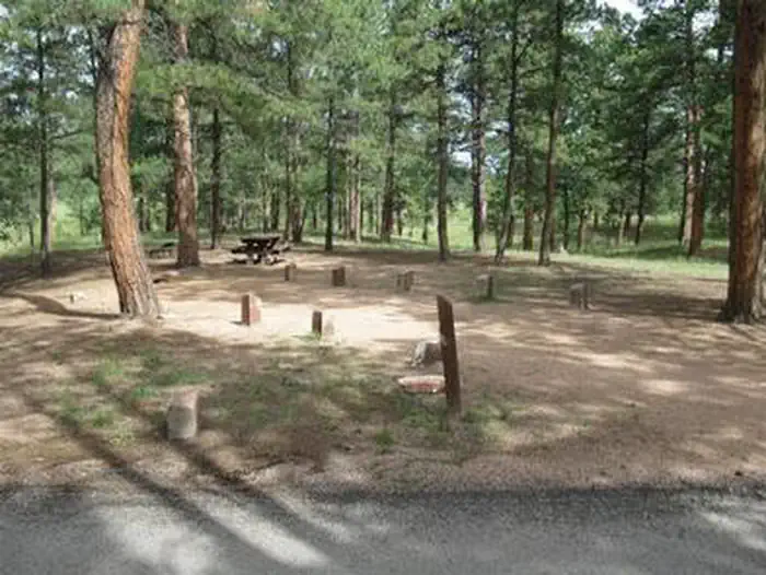 South Meadows - Pike San Isabel NF (CO) — SOUTH MEADOWS