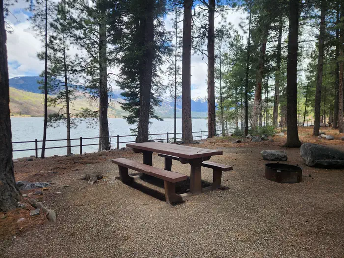 Pine Point (Vallecito Reservoir, CO) — Campsite along lake with picnic table and fire ring