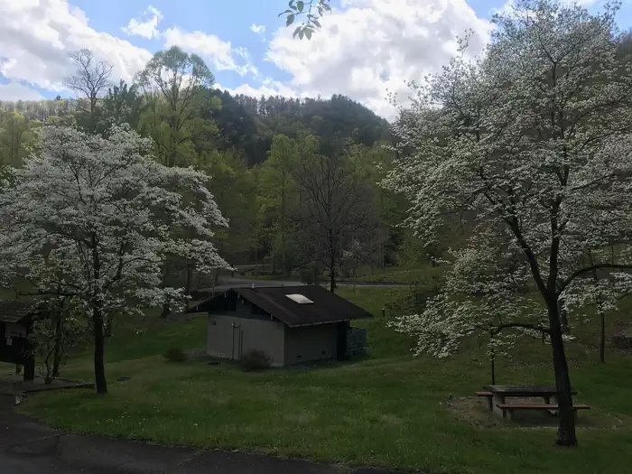 Rocky Bluff Campground — Spring