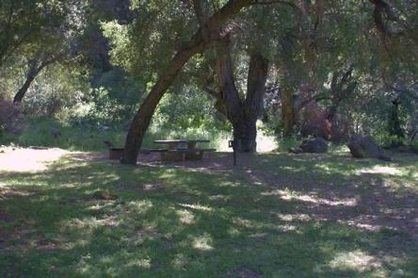 Fremont Campground — FREMONT CAMPGROUND