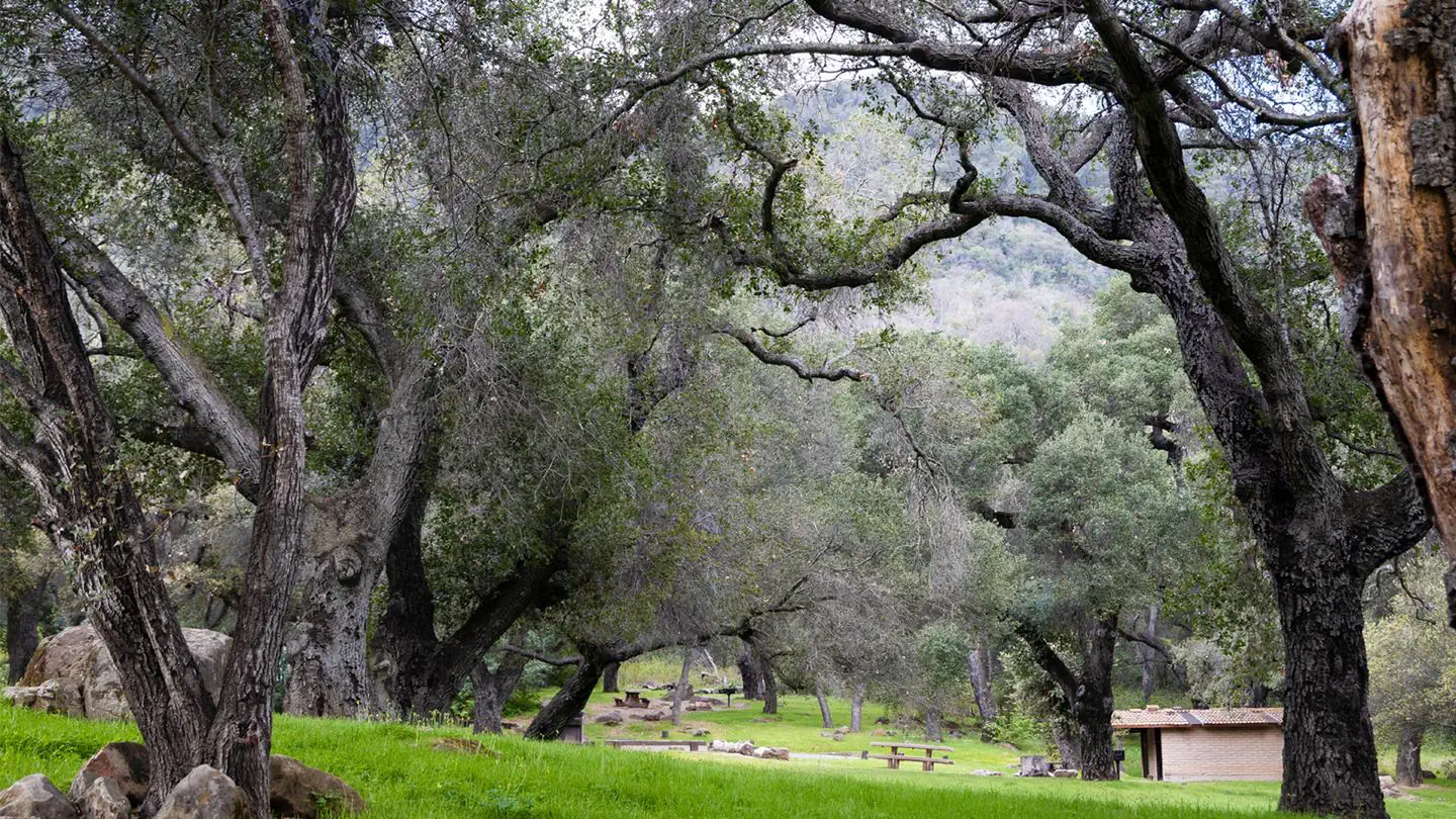 Fremont Campground — Fremont Campground 1