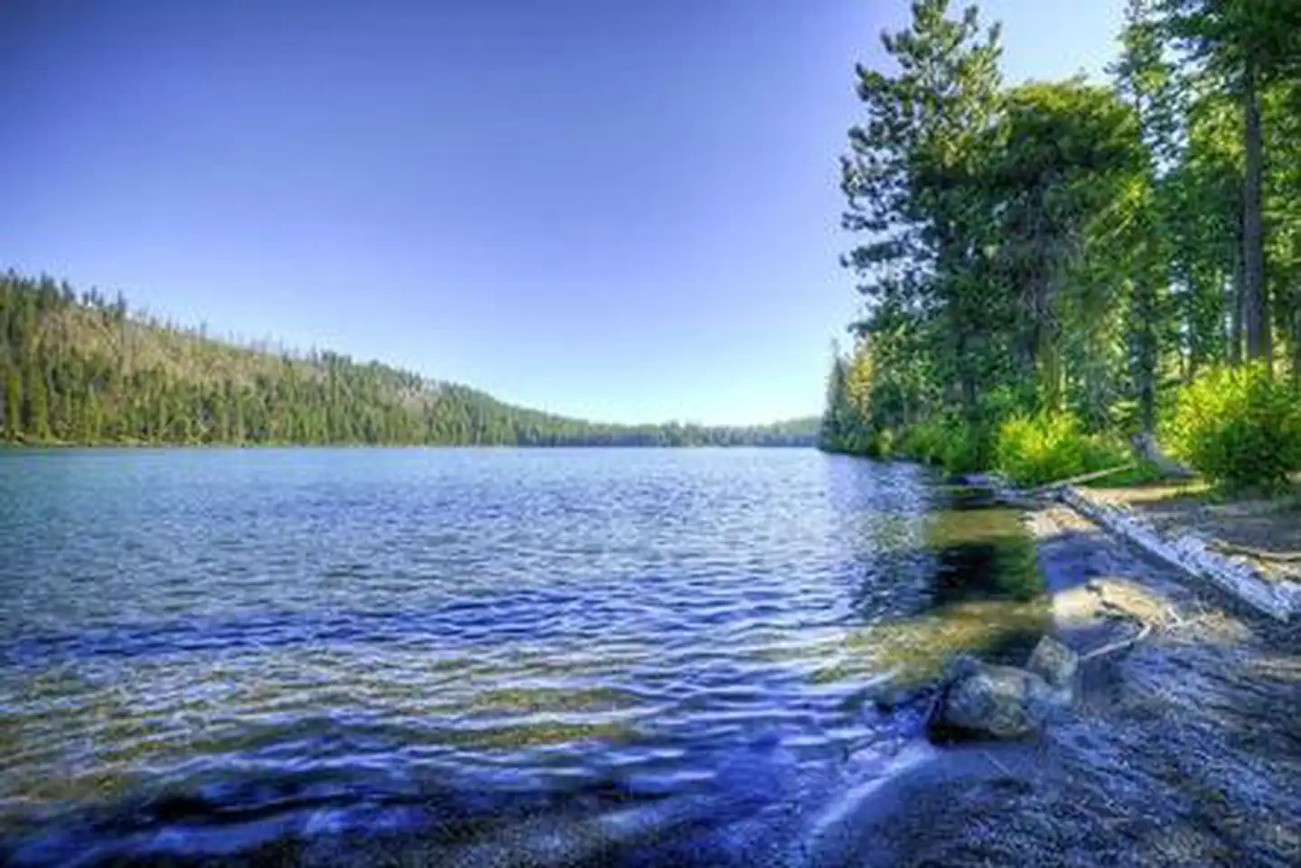 South Shore Suttle Lake