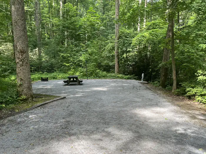 Rock Creek Recreation Area (Cherokee National Forest, TN) — Site 13 at Rock Creek