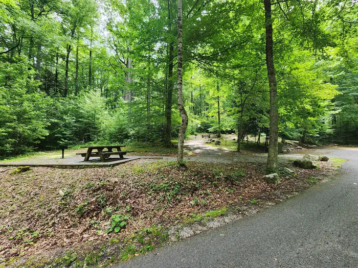 Rock Creek Recreation Area (Cherokee National Forest, TN) — Picnic Area