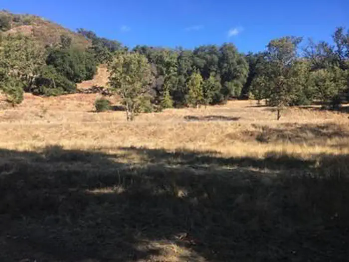 PONDEROSA CAMPGROUND — PONDEROSA CAMPGROUND