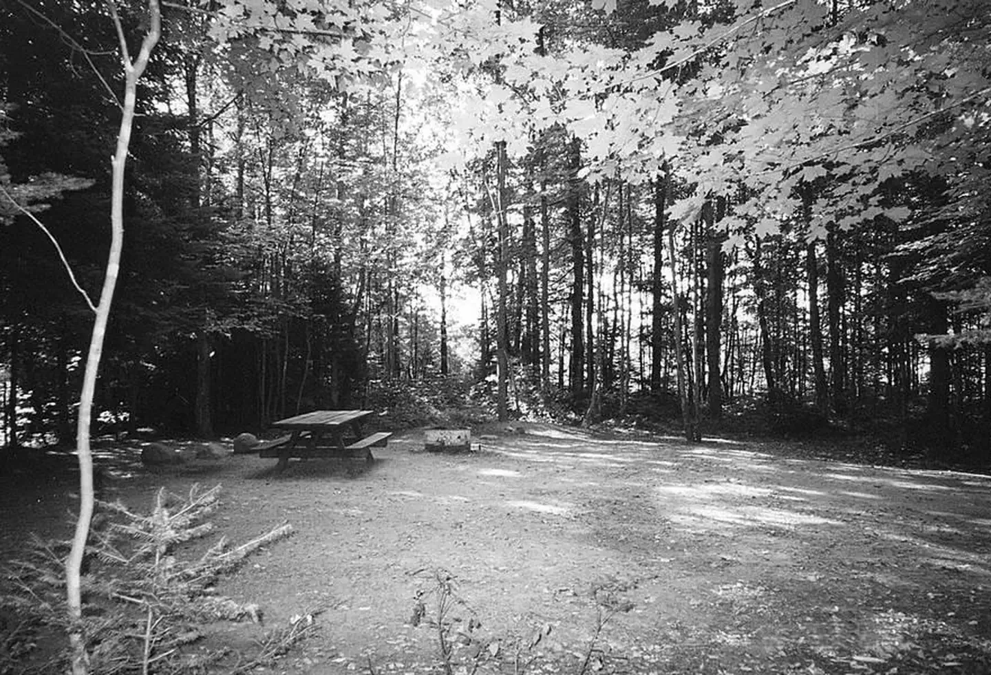 Bear Lake Campground (Chequamegon-Nicolet NF, WI) — BEAR LAKE CAMPGROUND 2