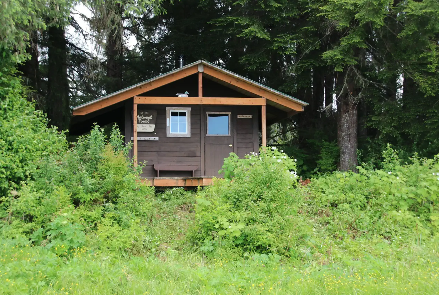 Big John Bay Cabin — BIG JOHN BAY CABIN7