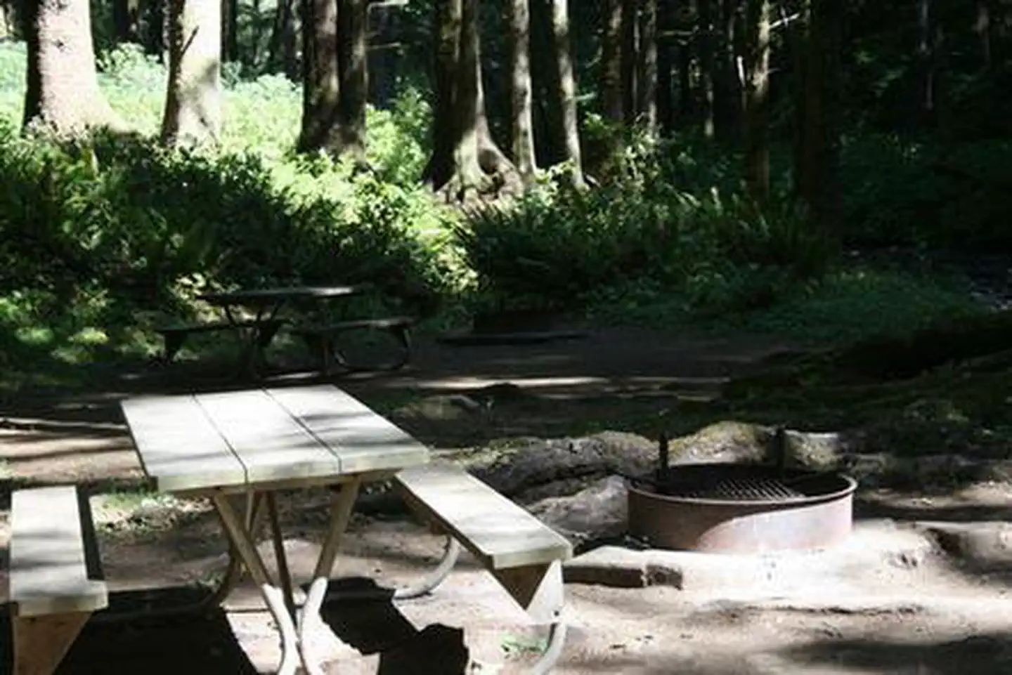 Rock Creek Oregon Coast (Siuslaw National Forest, OR) — ROCK CREEK - SIUSLAW