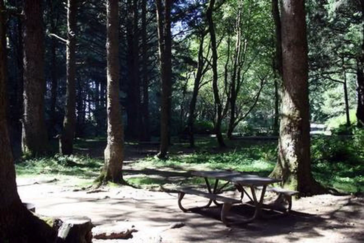 Rock Creek Oregon Coast (Siuslaw National Forest, OR) — ROCK CREEK - SIUSLAW