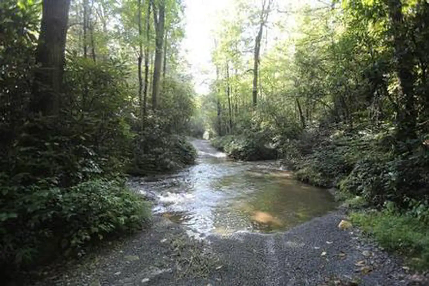 COVE CREEK UPPER GROUP CAMP — COVE CREEK UPPER GROUP CAMPGROUND.