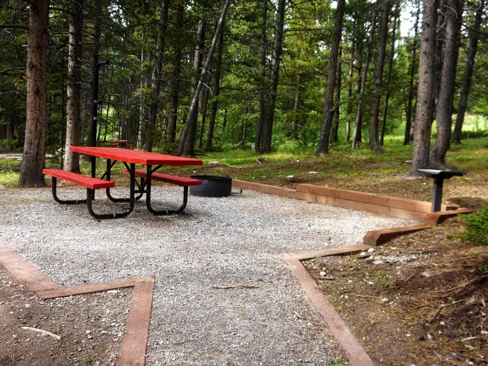 LAKEVIEW BIGHORN — Picnic table, fire ring and grill in forest setting