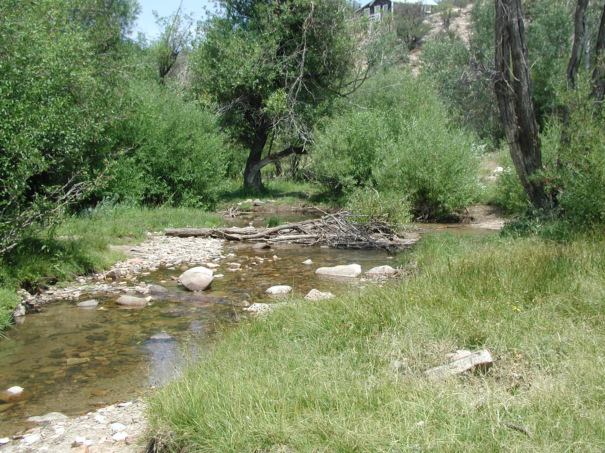 Silver City Campground — Silver City Campground