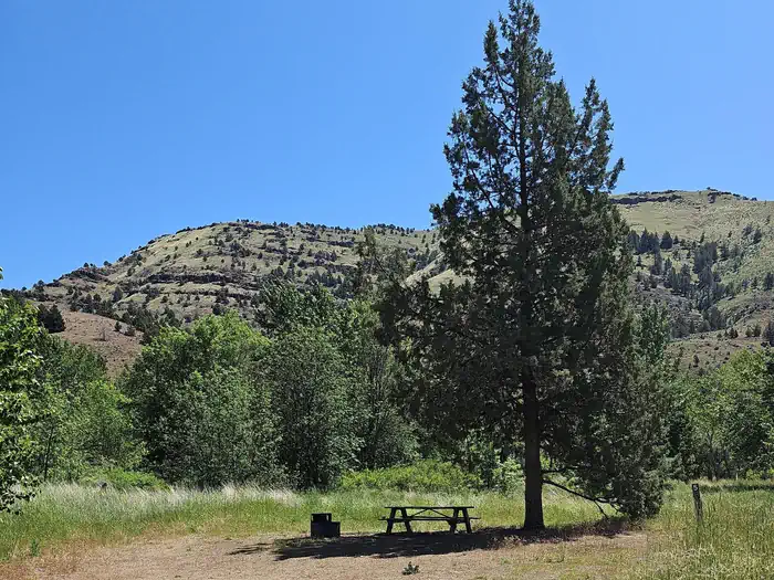 John Day River Basin Developed Campgrounds — This photo shows a typical campsite at Lone Pine with a large juniper, picnic table, and fire ring.