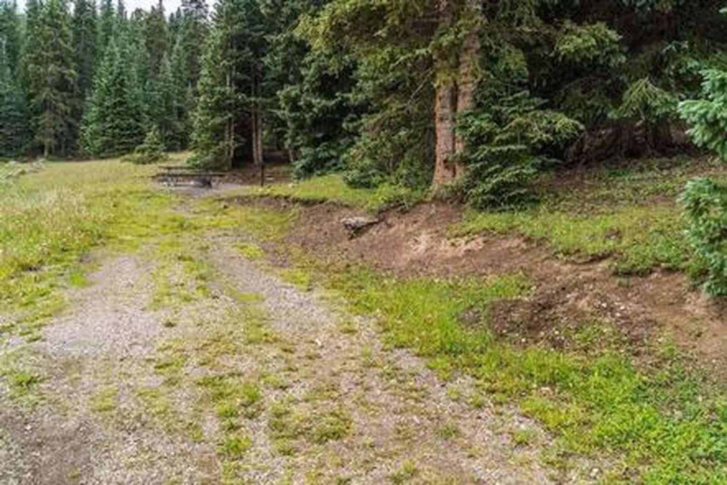 LeBaron Campground — LeBaron Campground