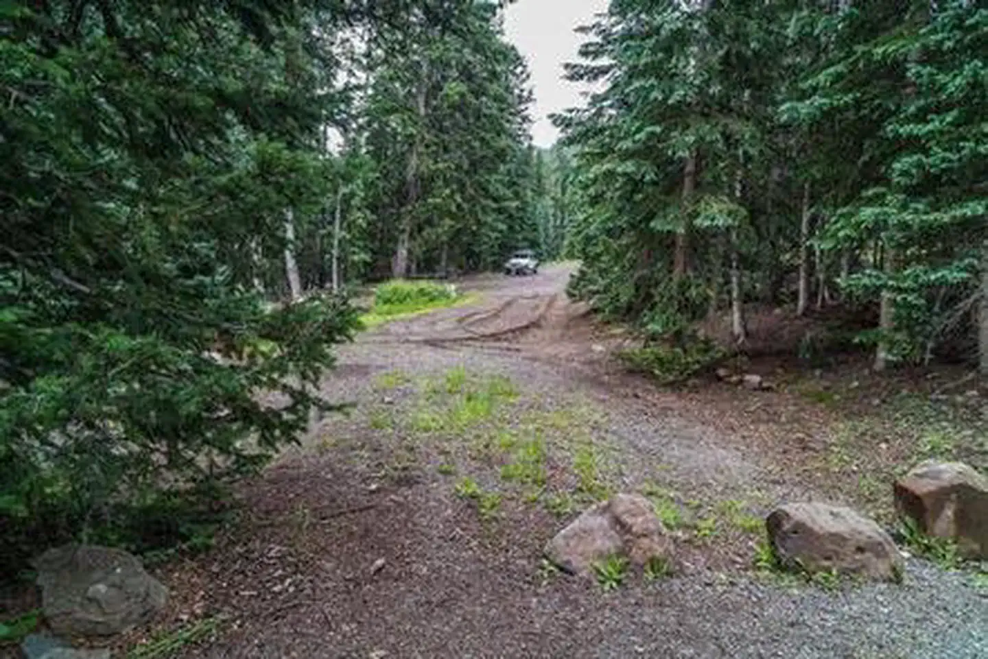 LeBaron Campground — LeBaron Campground