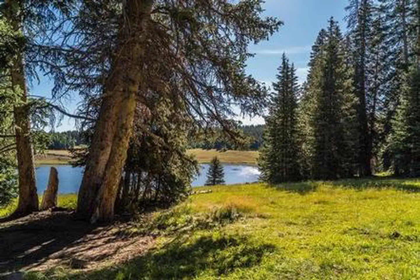 LeBaron Campground — LeBaron Campground