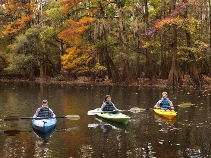 Longleaf Campground — Three children kayak on the water in the autumn