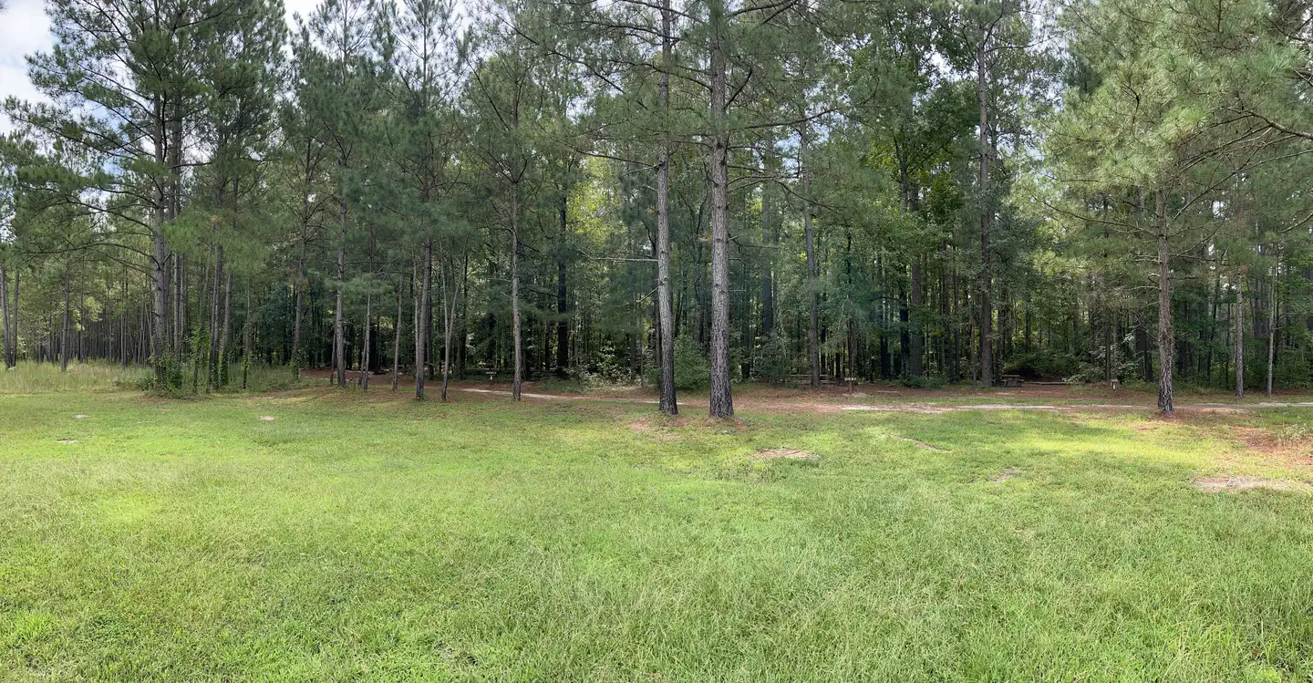 Longleaf Campground — A photo of facility Longleaf Campground with No Amenities Shown