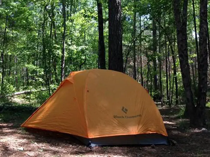 Longleaf Campground — An orange tent pitched at Congaree National Park