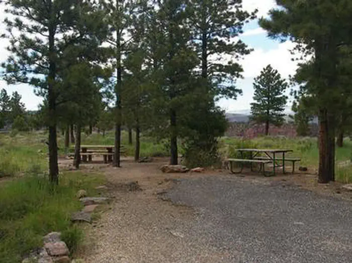 Red Canyon (Ashley National Forest) — RED CANYON